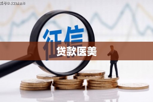 白云贷款医美