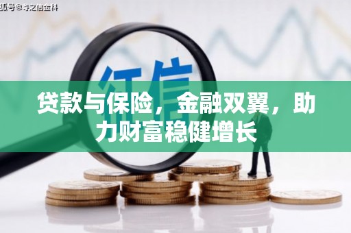 白云贷款与保险，金融双翼，助力财富稳健增长