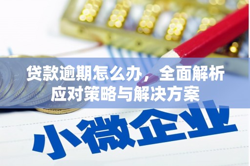 白云贷款逾期怎么办，全面解析应对策略与解决方案